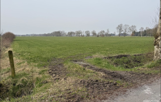 Auffahrt
