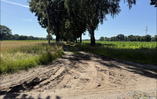 Zuwegung Fläche 6
