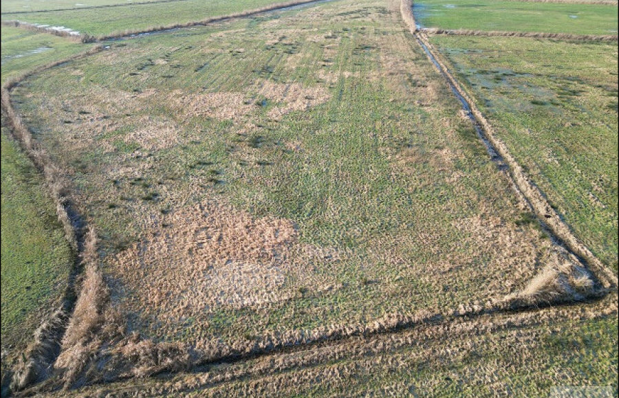 Titelbild - Objekt 388-25FRI