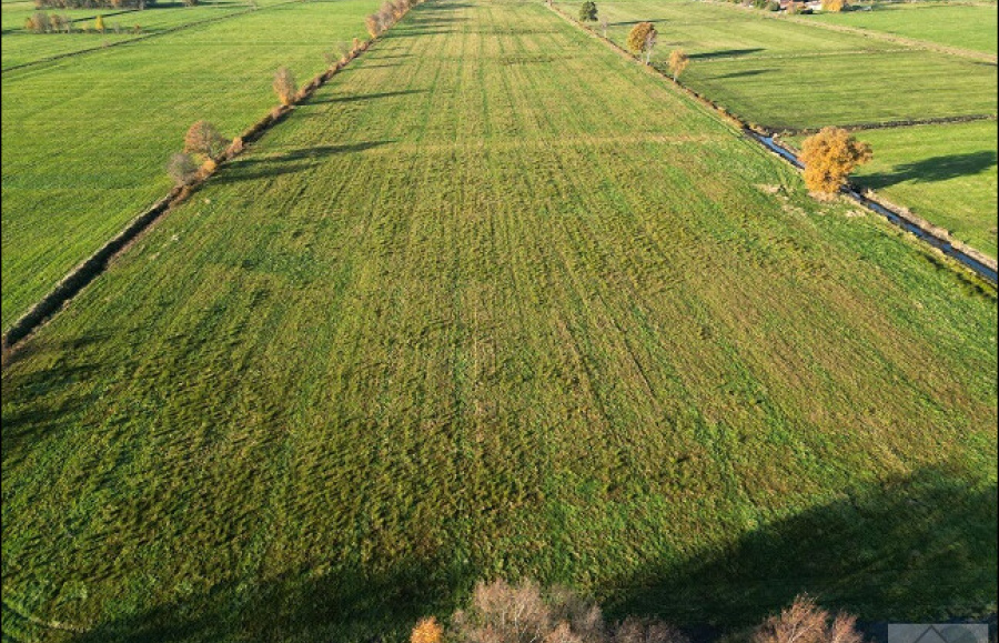 Titelbild Objekt 382-25WM
