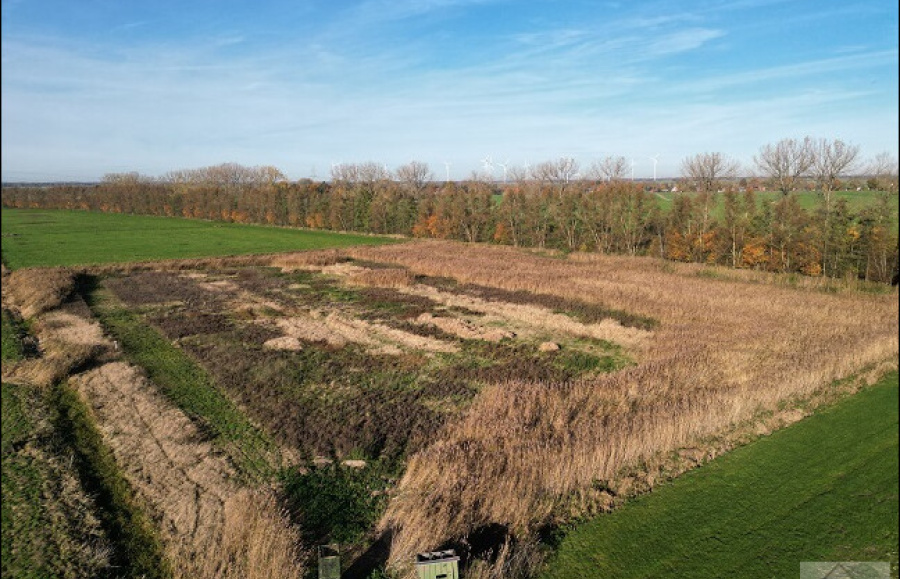 Titelbild Objekt 384-25WM